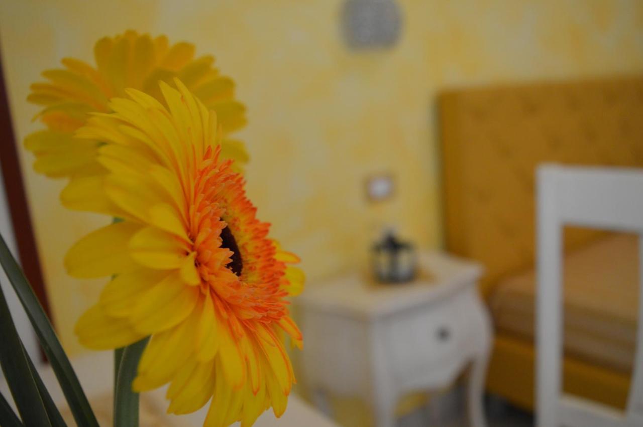 Tally B&B Salve Εξωτερικό φωτογραφία